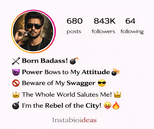 Badmashi Bio For Instagram