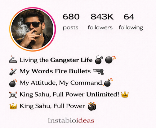 Badmashi Bio For Instagram
