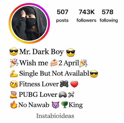 Instagram Bio For Boys