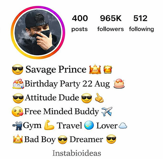 Instagram Bio For Boys With Emoji