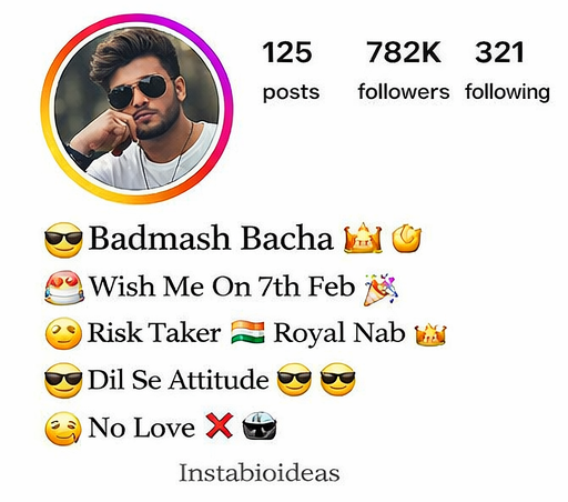 Instagram Bio For Boys Attitude